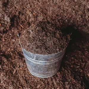 Barky Beaver Mushroom Compost