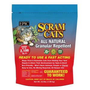 Epic Scram for Cats
