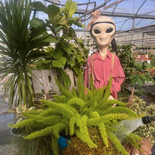alien in nursery