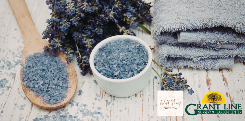 Herbal Bath Workshop